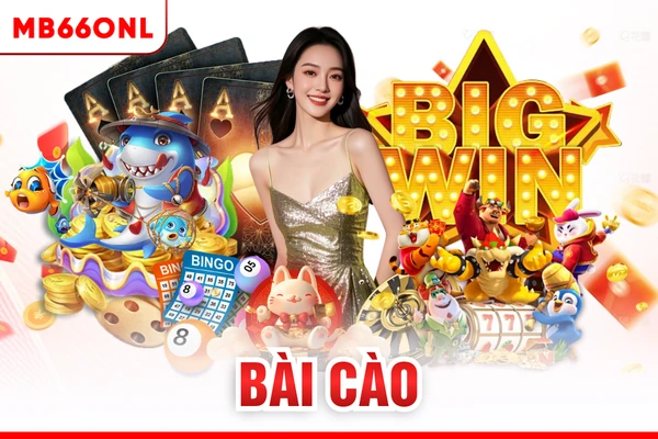 bài cào