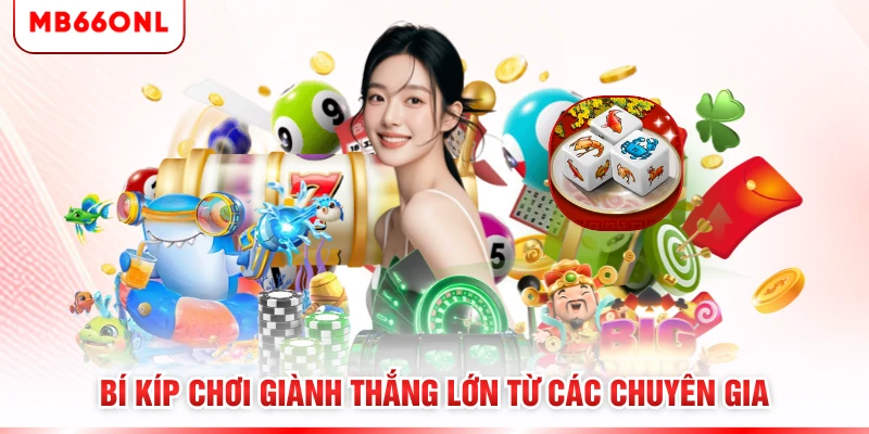 Bí kíp chơi giành thắng lớn từ các chuyên gia 
