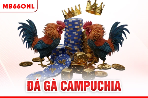 Đá gà campuchia