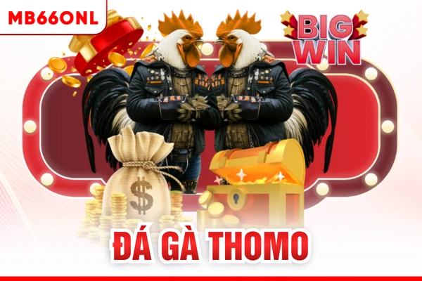 Đá gà Thomo