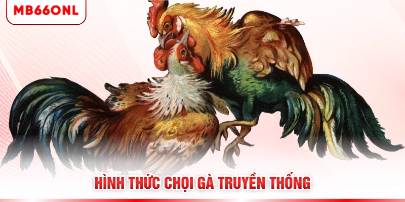 Hình thức chọi gà truyền thống