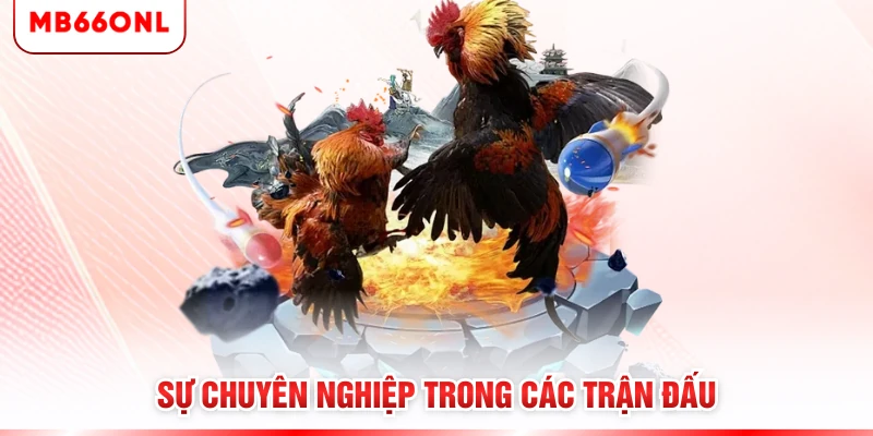 Sự chuyên nghiệp trong các trận đấu