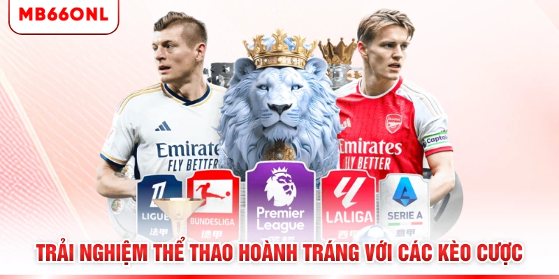 Trải nghiệm thể thao hoành tráng với các kèo cược