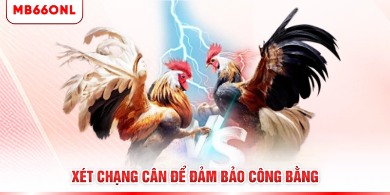 Xét chạng cân để đảm bảo công bằng